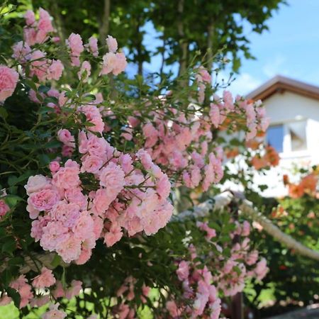 Apartment Prole Sipovo المظهر الخارجي الصورة